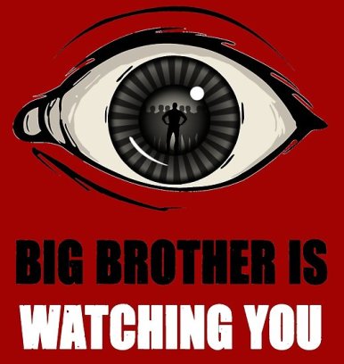 BIG BROTHER IS WATCHING … YOU 👊🏻 | Dinshaw Avari- Trying my Hand at  Blogging!